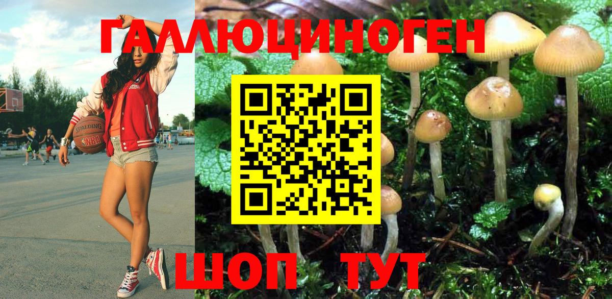 Псилоцибиновые грибы MAGIC MUSHROOMS Верхняя Салда