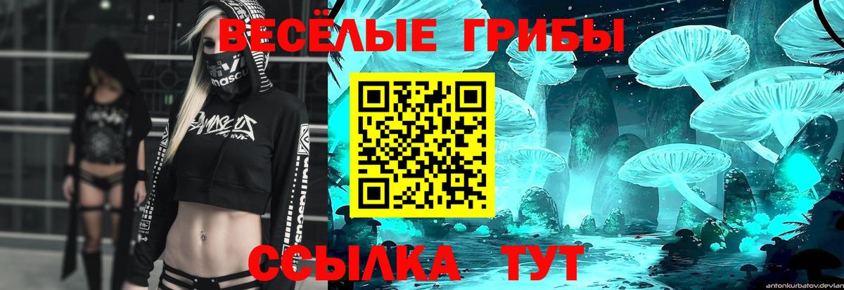 Верхняя Салда  Псилоцибиновые грибы мицелий  закладка  Вход с VPN  Галлюциногенные грибы GOLDEN TEACHER 