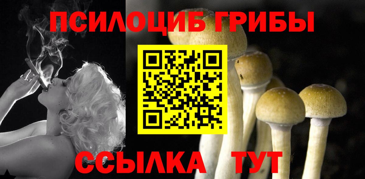 Псилоцибиновые грибы мухоморы  Верхняя Салда 